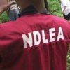 FEDERAL GOVERNMENT APPROVES LIE DETECTOR AND NIGHT VISION GOGGLES FOR NDLEA