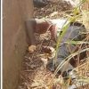 GUNMEN KILL TWO FRSC PERSONNEL ON PATROL IN ANAMBRA STATE