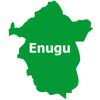 An NGO, LASEDI, has thrown its weight behind the zoning of the governorship position in Enugu.