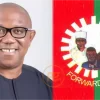 LABOUR PARTY PRESIDENTIAL CANDIDATE PETER OBI CHARGES NIGERIANS TO TAKE BACK THEIR COUNTRY