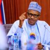 President Muhammadu Buhari has Insinuated Nigeria can be a major International Supply Chain.