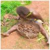 Igwe Nevobasi Condenms Dehumanization of Widow in Mmaku, Awgu LGA.