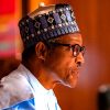 PANDEF Urges Buhari not to Cancel PAP.