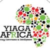YIAGA Africa Condemns Attacks on INEC Offices