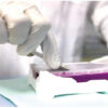 Federal Government Suspends Covid-19 Tests For Travelers.
