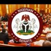 SENATE FAULTS 4.2 BILLION NAIRA PERSONNEL COST FOR UNVERIFIED WORKERS IN AJAOKUTA STEEL COMPANY.