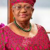 OKONJO-IWEALA TO SEEK SECOND TERM AS WORLD TRADE ORGANIZATION DG