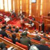 SENATE DEFENDS STATE POLICE BILL