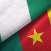 NIGERIA AND CAMEROON BEGIN JOINT REVIEW OF EKOK-MFUM BORDER POST